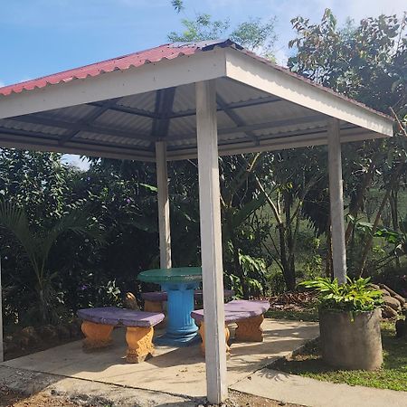 Cabinas El Pilon Rio Celeste Exterior foto